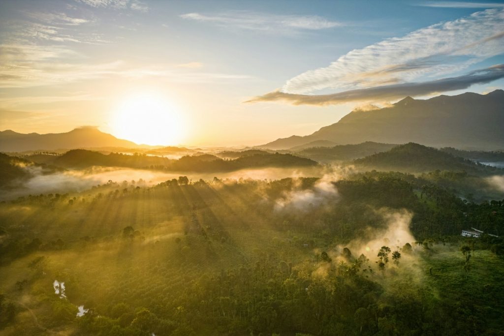 Piantagioni di tè Darjeeling sulle colline himalayane illuminate dal sole