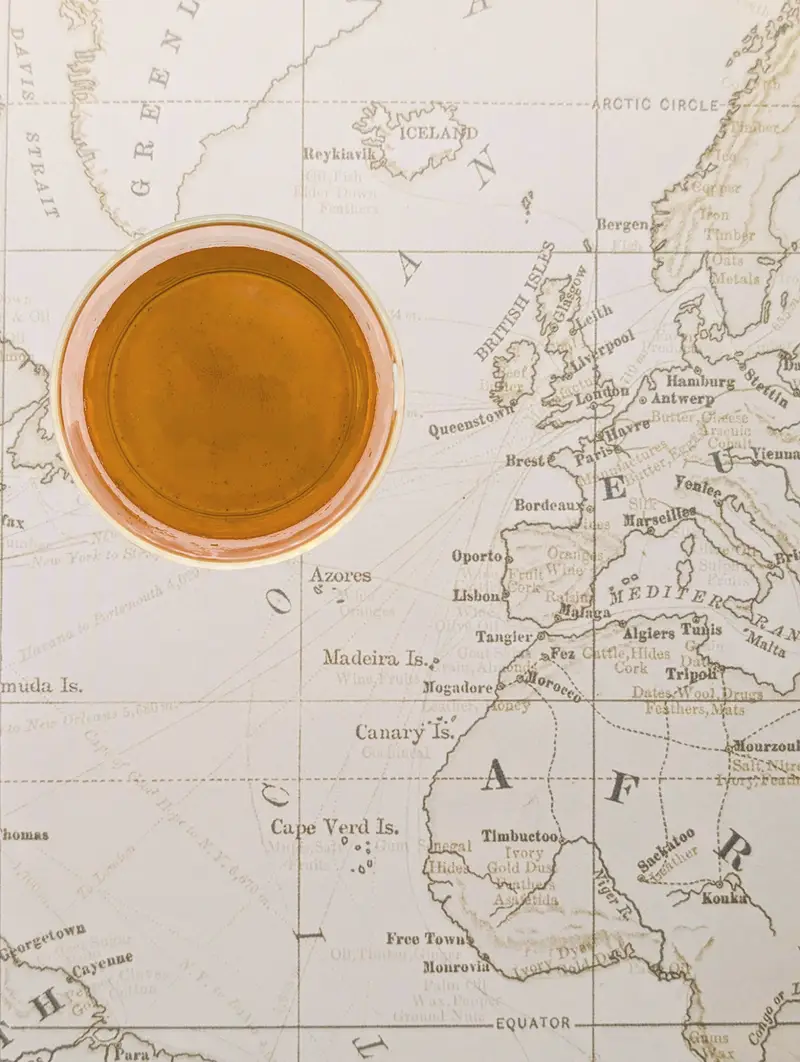 Tazza di tè sopra una mappa geografica antica per la collezione di tè biologici in foglie World di Erinora