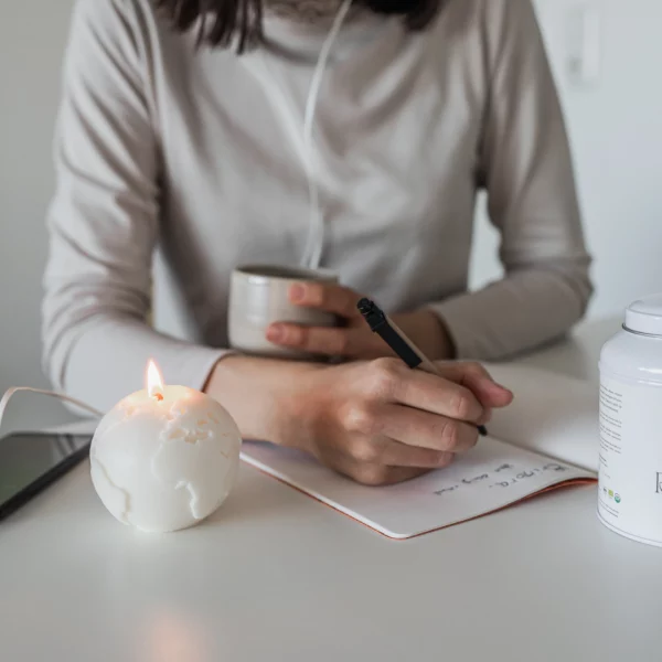 Sinergy Box
